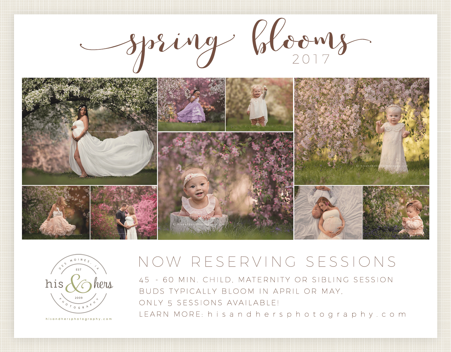 Now Booking | Spring Blooms Sessions